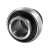 LY206-2B1